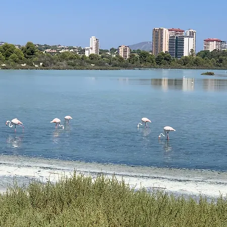 Apartment-de-la-luz-calpe Apartman