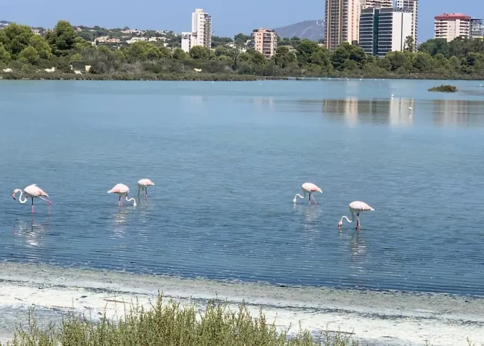 Apartment-de-la-luz-calpe 公寓